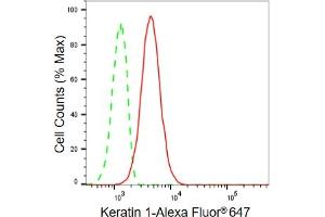 anti-Keratin 1 (KRT1) antibody