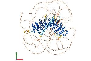 Protein Structure (PS) image for Plakophilin 4 (PKP4) (AA 1-1192) protein (His tag) (ABIN7554957)