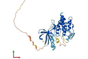 Protein Structure (PS) image for NIMA (Never in Mitosis Gene A)-Related Kinase 6 (NEK6) (AA 1-313) protein (His tag) (ABIN7554712)
