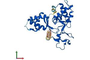 AlphaFold protein structure predicition of Human Recombinant NSMCE1 Protein, UniprotID Q8WV22