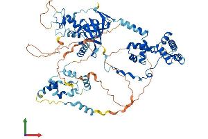 AlphaFold protein structure predicition of Human Recombinant MTA2 Protein, UniprotID O94776
