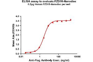 Elisa plates were pre-coated with Flag Tag -Nanodisc (0. (FZD10 蛋白)