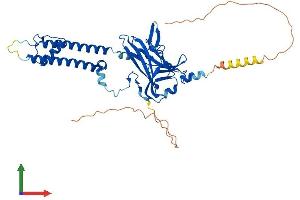 Protein Structure (PS) image for Potassium Inwardly-Rectifying Channel, Subfamily J, Member 12 (KCNJ12) (AA 1-427) protein (His tag) (ABIN7563413)