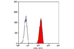 Staining of human peripheral blood granulocytes with mouse anti human CD32-FITC (FCGR2A 抗体  (FITC))