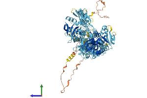 Protein Structure (PS) image for ATPase Type 13A1 (ATP13A1) (AA 1-1200) protein (His tag) (ABIN7565023)
