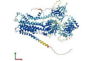 Protein Structure (PS) image for ATPase, class VI, type 11C (ATP11C) (AA 1-1132) protein (His tag) (ABIN7552371)