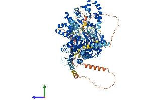 Protein Structure (PS) image for DEAH (Asp-Glu-Ala-His) Box Polypeptide 36 (DHX36) (AA 1-1001) protein (His tag) (ABIN7564765)