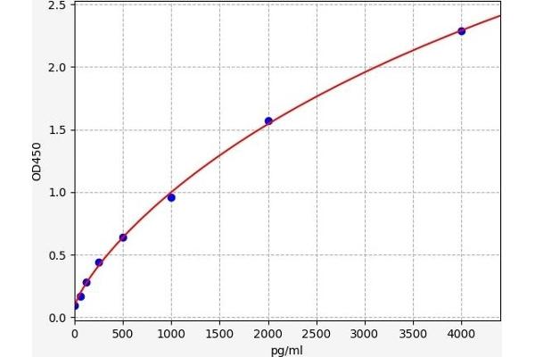 XCL1 ELISA 试剂盒