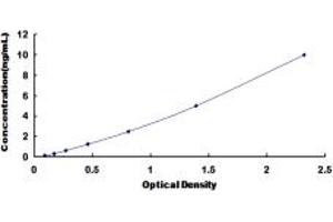 Typical standard curve (Desmocollin 3 ELISA 试剂盒)