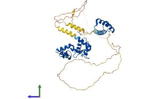 Protein Structure (PS) image for Paired Box 6 (PAX6) (AA 1-422) protein (His tag) (ABIN7556635)