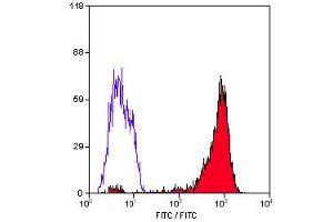 Staining of human peripheral blood lymphocytes with Mouse anti Human HLA ABC (ABIN118900). (HLA-ABC 抗体)