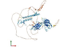 AlphaFold protein structure predicition of Mouse Recombinant Sytl5 Protein, UniprotID Q80T23 (SYTL5 Protein (AA 1-753) (His tag))