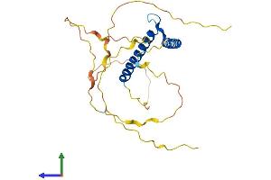 Protein Structure (PS) image for Basic Helix-Loop-Helix Family, Member A9 (BHLHA9) (AA 1-235) protein (His tag) (ABIN7552801)