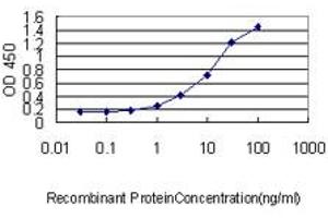 Detection limit for recombinant GST tagged FTL is approximately 0. (FTL 抗体  (AA 1-175))