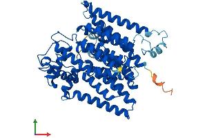 Protein Structure (PS) image for Asparagine-Linked Glycosylation 6, alpha-1,3-Glucosyltransferase Homolog (ALG6) (AA 1-507) protein (His tag) (ABIN7552180)