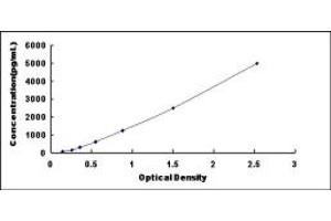 Typical standard curve (ALDOB ELISA 试剂盒)