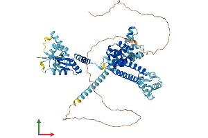 Protein Structure (PS) image for NOP56 Ribonucleoprotein Homolog (NOP56) (AA 1-594) protein (His tag) (ABIN7549867)