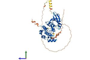 Protein Structure (PS) image for Aurora Kinase A (AURKA) (AA 1-403) protein (His tag) (ABIN7552496)