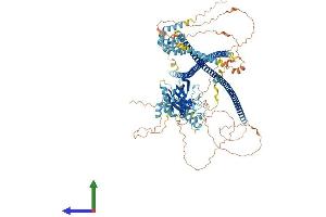 Protein Structure (PS) image for Caspase Recruitment Domain Family, Member 10 (CARD10) (AA 1-1032) protein (His tag) (ABIN7553074)