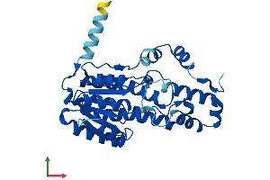 AlphaFold protein structure predicition of Mouse Recombinant Sdr9c7 Protein, UniprotID Q8K3P0