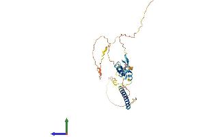 AlphaFold protein structure predicition of Human Recombinant TNFRSF13B Protein, UniprotID O14836