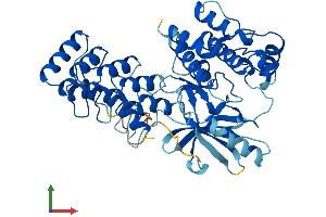 AlphaFold protein structure predicition of Human Recombinant ILK Protein, UniprotID Q13418