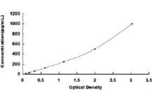 Typical standard curve (FGF7 ELISA 试剂盒)