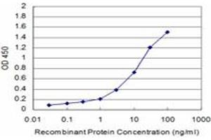 Detection limit for recombinant GST tagged GCSH is approximately 0. (GCSH 抗体  (AA 1-173))