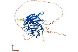 Protein Structure (PS) image for Diphthamide Biosynthesis 7 (DPH7) (AA 1-477) protein (His tag) (ABIN7560760)