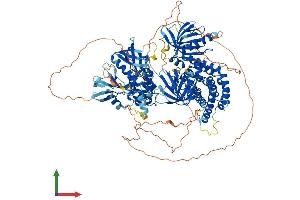 Protein Structure (PS) image for FERM, RhoGEF and Pleckstrin Domain Protein 2 (FARP2) (AA 1-1054) protein (His tag) (ABIN7553873)