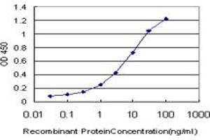 Detection limit for recombinant GST tagged CREB5 is approximately 0. (CREB5 抗体  (AA 1-99))