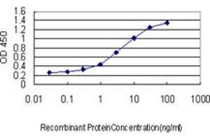 Detection limit for recombinant GST tagged ALAS1 is approximately 0. (ALAS1 抗体  (AA 1-98))