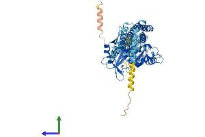 Protein Structure (PS) image for Atlastin GTPase 3 (ATL3) (AA 1-541) protein (His tag) (ABIN7552422)