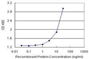 Sandwich ELISA detection sensitivity ranging from 1 ng/mL to 100 ng/mL. (AMBP (人) Matched Antibody Pair)