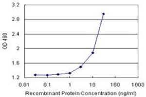 Sandwich ELISA detection sensitivity ranging from 1 ng/mL to 100 ng/mL.
