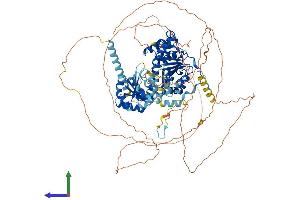 Protein Structure (PS) image for DEAD (Asp-Glu-Ala-Asp) Box Polypeptide 42 (DDX42) (AA 1-929) protein (His tag) (ABIN7564310)