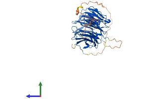 Protein Structure (PS) image for Angio-Associated, Migratory Cell Protein (AAMP) (AA 1-434) protein (His tag) (ABIN7551755)