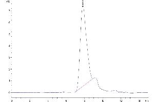 The purity of Mouse CD34 is greater than 95 % as determined by SEC-HPLC.