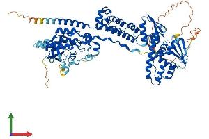 Protein Structure (PS) image for rho-Related BTB Domain Containing 1 (RHOBTB1) (AA 1-696) protein (His tag) (ABIN7551367)