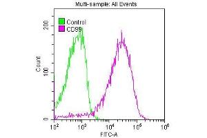 Overlay histogram showing Jurkat cells stained with ABIN7127288 (red line) at 1:50. (Recombinant CD99 抗体)