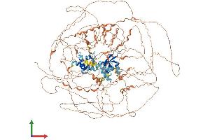 Protein Structure (PS) image for MAGE-Like 2 (MAGEL2) (AA 1-1284) protein (His tag) (ABIN7565161)