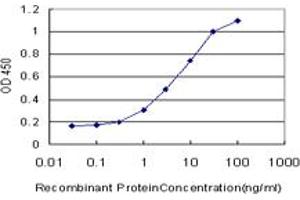 Detection limit for recombinant GST tagged GRK6 is approximately 0. (GRK6 抗体  (AA 71-170))