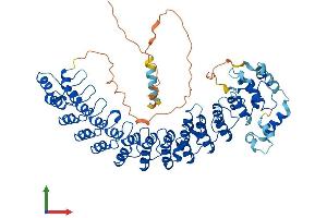 Protein Structure (PS) image for Ankyrin Repeat and SOCS Box-Containing 2 (ASB2) (AA 1-634) protein (His tag) (ABIN7559437)