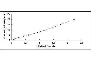 Typical standard curve (PGK1 ELISA 试剂盒)