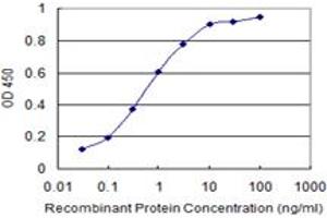 Detection limit for recombinant GST tagged LBX2 is 0. (LBX2 抗体  (AA 95-194))