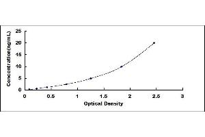 Typical standard curve