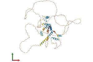 Protein Structure (PS) image for Zinc Finger, Matrin-Type 1 (ZMAT1) (AA 1-638) protein (His tag) (ABIN7545781)