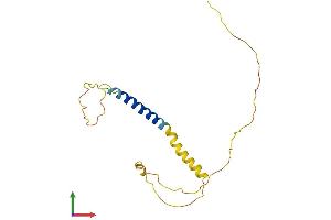 Protein Structure (PS) image for Potassium Voltage-Gated Channel, Isk-Related Family, Member 4 (KCNE4) (AA 1-170) protein (His tag) (ABIN7556249)