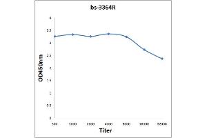 Antigen: 0. (RPS6KA3 抗体  (pThr573))