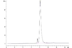 Size-exclusion chromatography-High Pressure Liquid Chromatography (SEC-HPLC) image for Dipeptidyl-Peptidase 4 (DPP4) (AA 29-766) protein (His tag) (ABIN7274491)